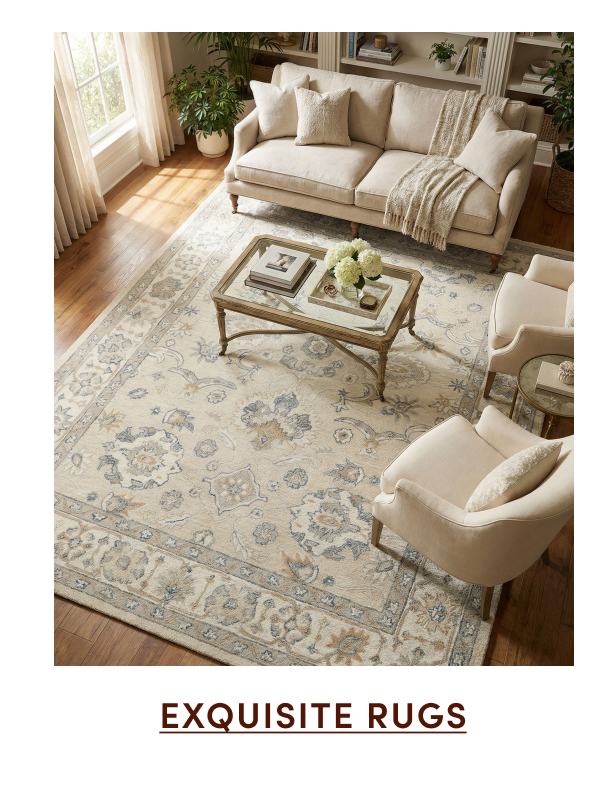 Shop Exquisite Rugs