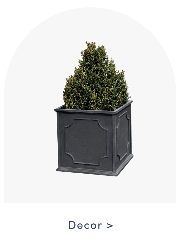 Shop Decor