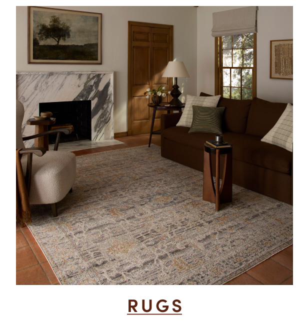 Shop Rugs