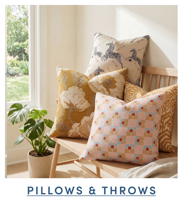 Shop Pillows and Throws
