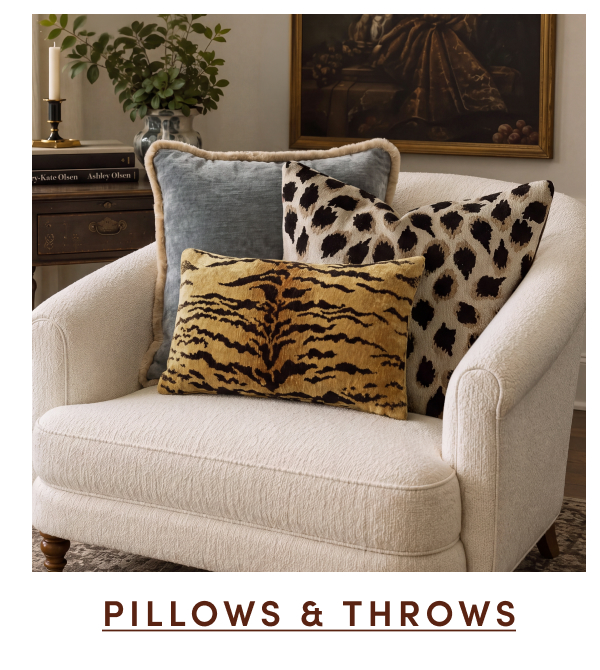 Shop Pillows & Throws
