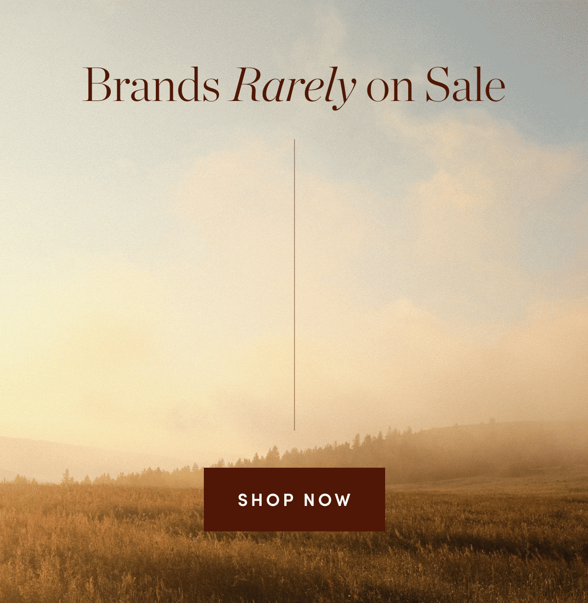Shop Customer Favorites
