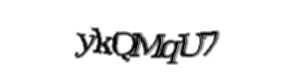 Security check image, please type the characters shown