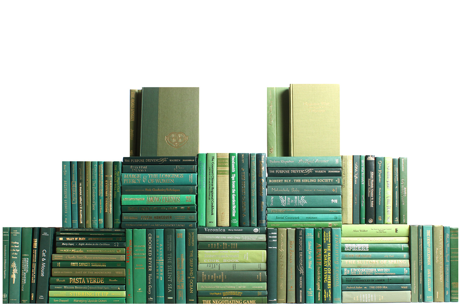 Modern Boxwood Book Wall, S/100~P77591915