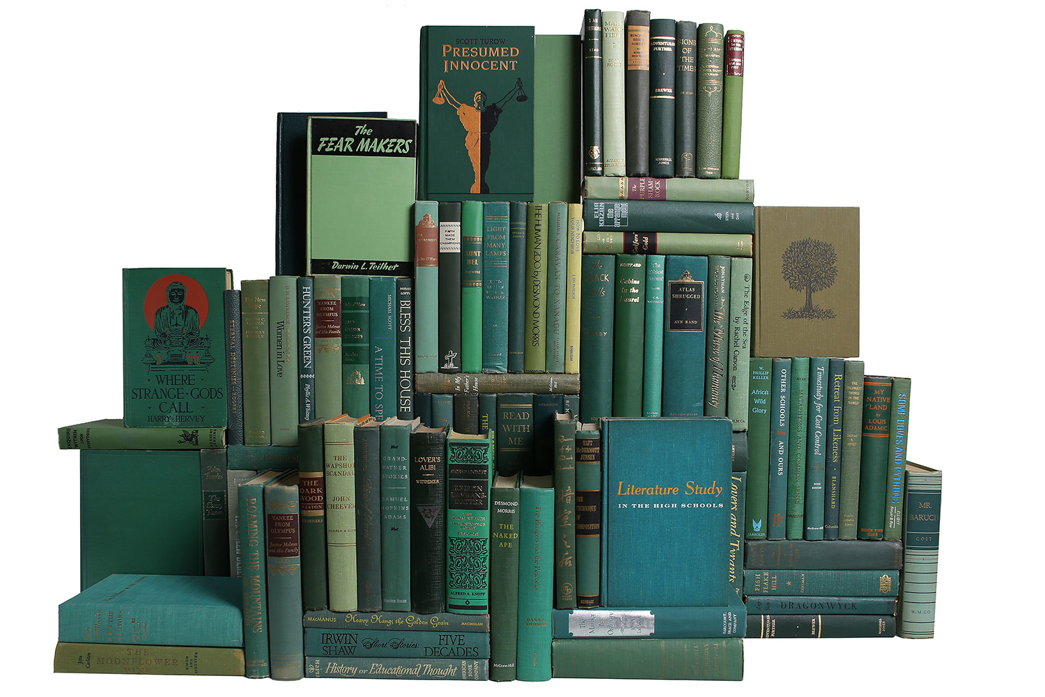 Vintage Boxwood Book Wall, S/100