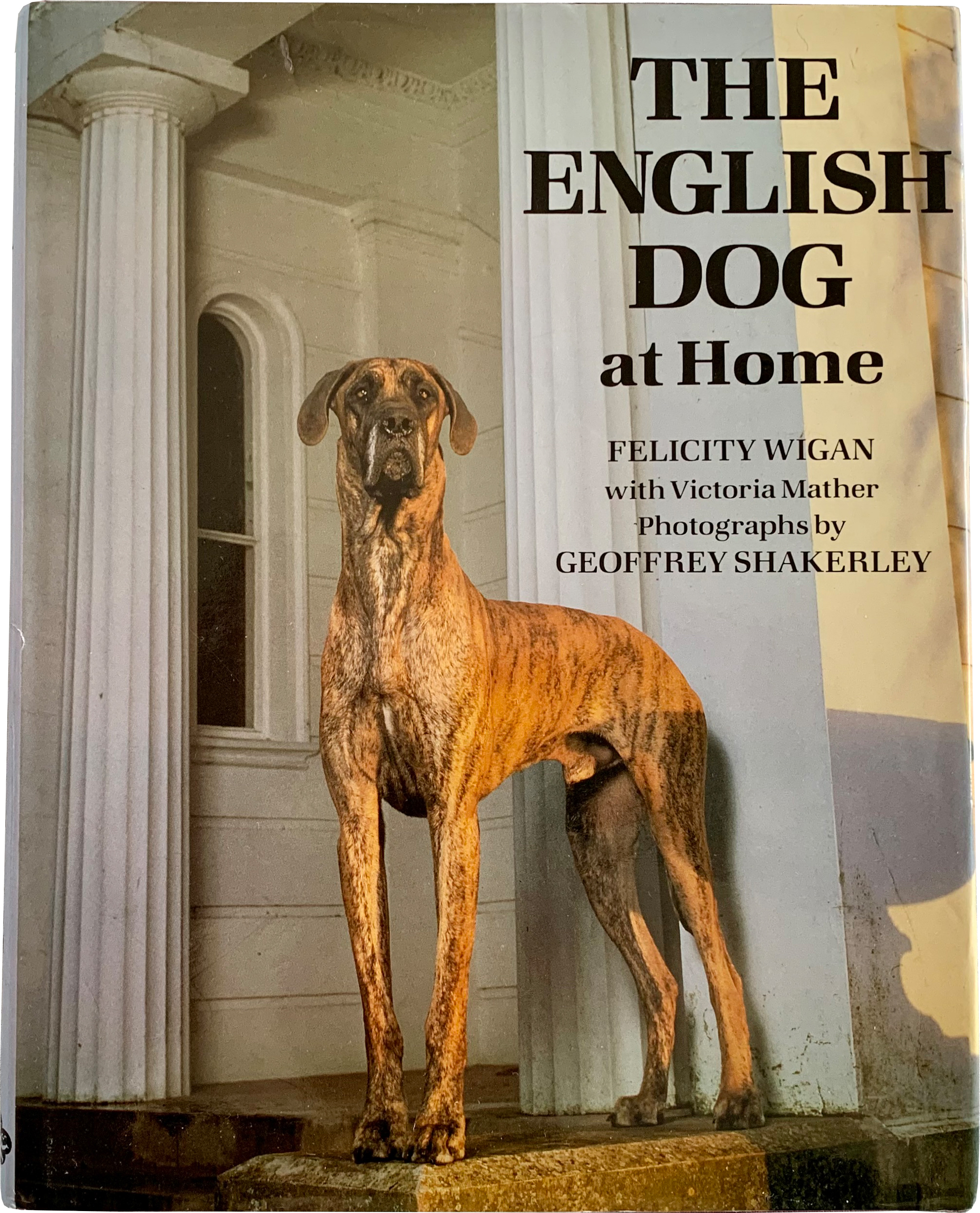 The English Dog at Home~P77663319