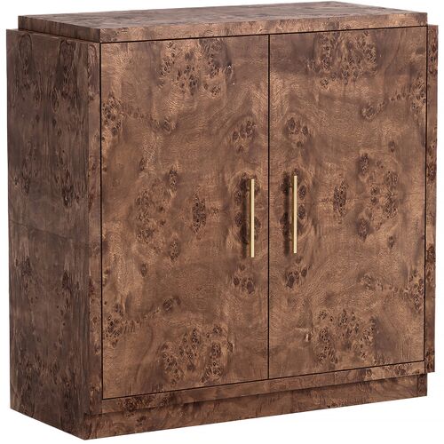 Jackson Burl 2-Door Cabinet
