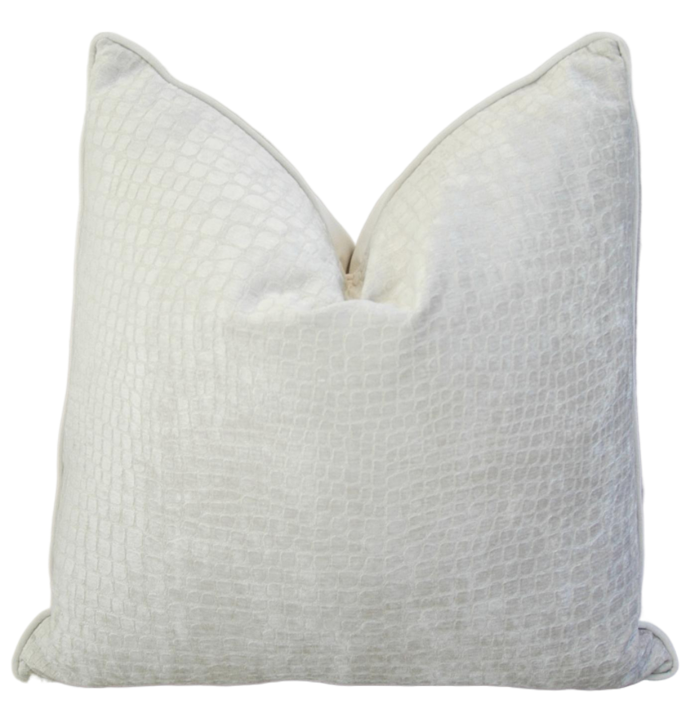 Alligator Crocodile Velvet Pillow~P77667449