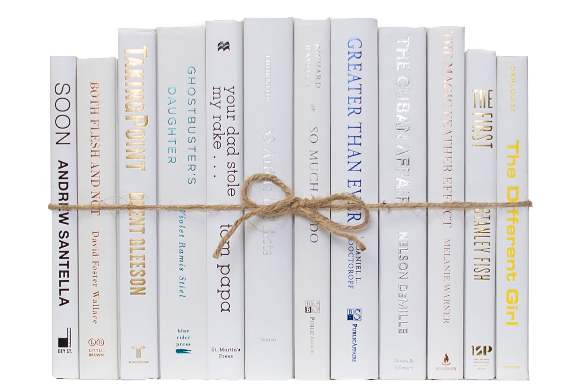 1-Foot Modern Book Bundle, Snowfall
