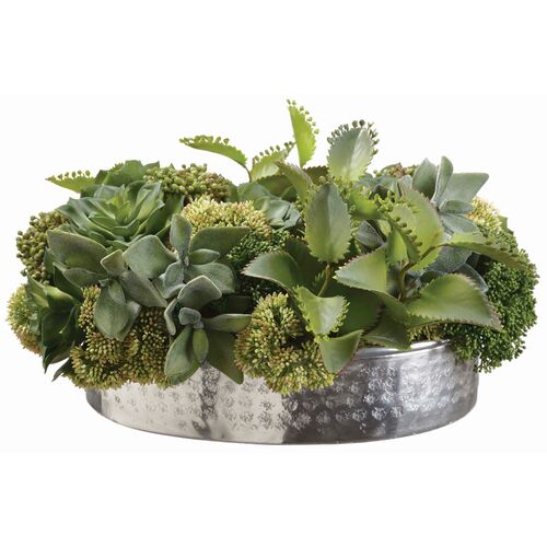 9" Succulent in Vase, Green