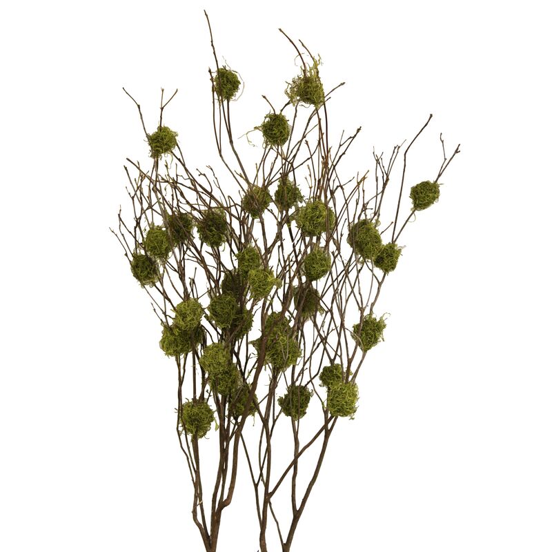 S/4 Mountain-Laurel Branches, Dried