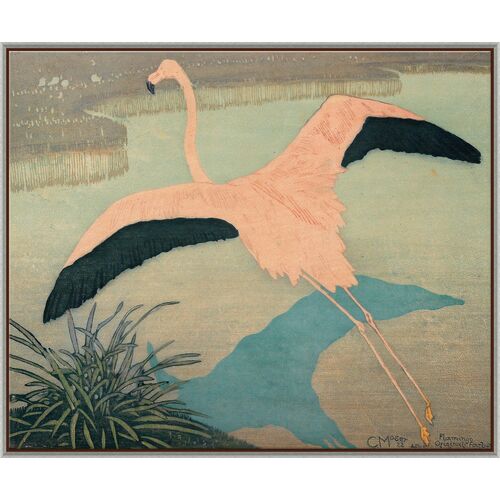 Flamingo~P111123953