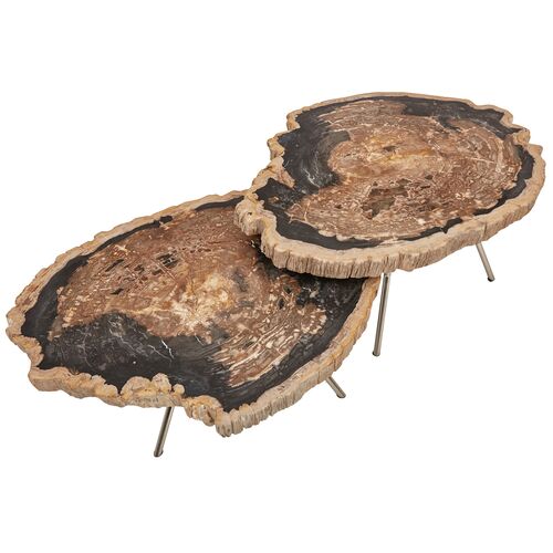 S/2 Larza Petrified Wood Coffee Tables