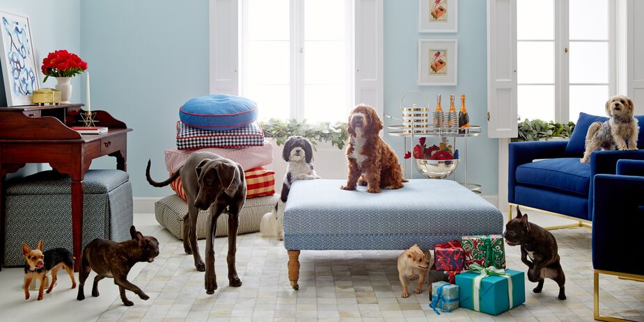 5 Tips to Create a Stylish Home with Pets