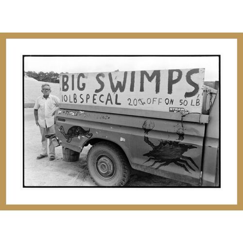 Big Swimps by Michael P. Smith Framed Print