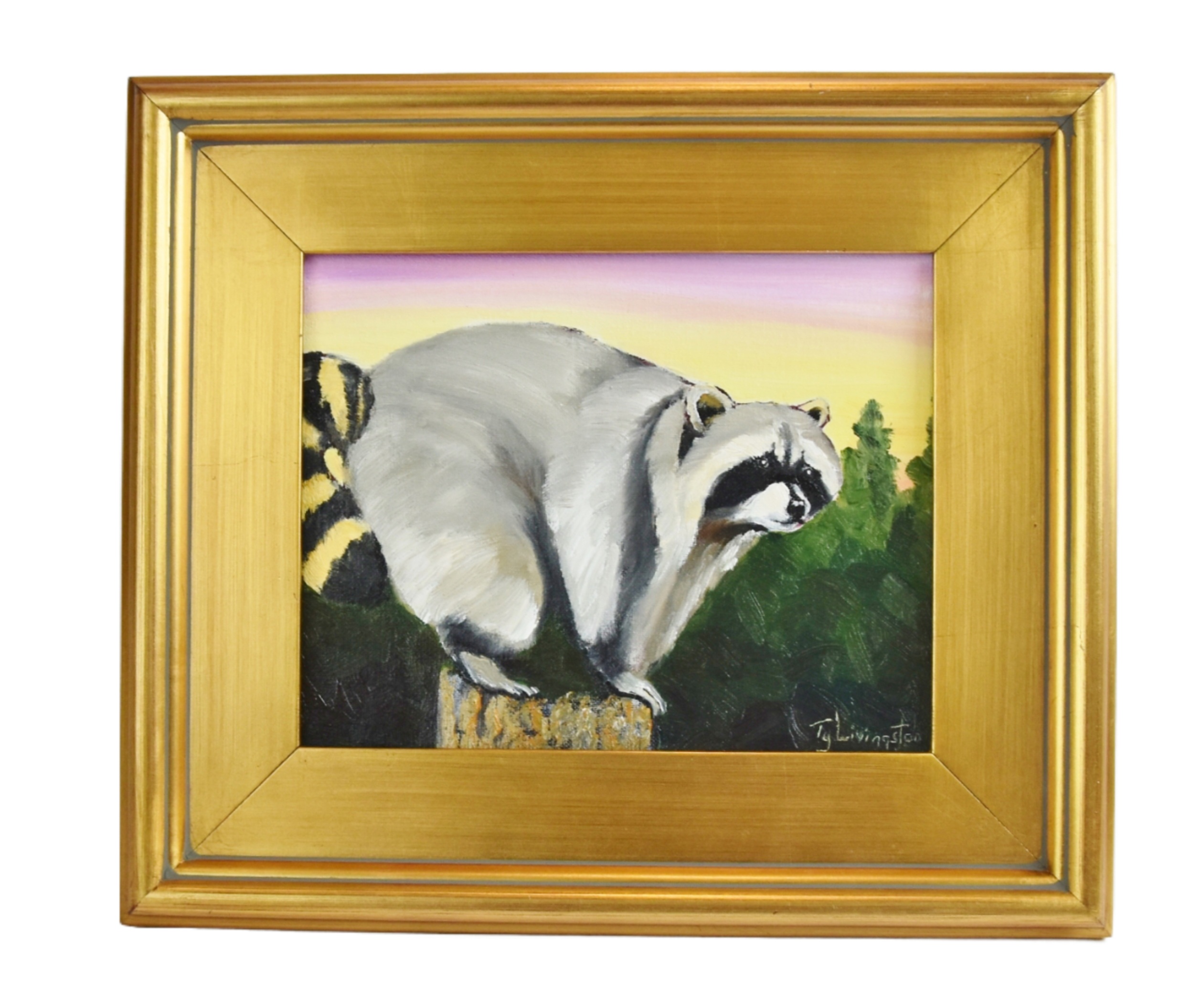 Wildlife Nature Raccoon Oil Painting~P77662768