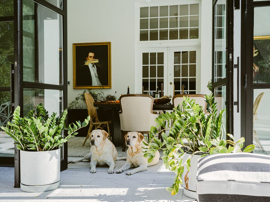 Golden retrievers Harley and Helix take advantage of the seamless flow of the dining room to the patio on a sunny day. 
