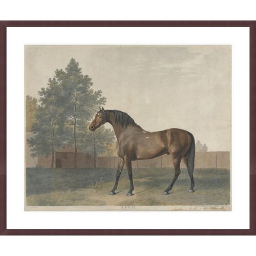 Anvil" by George Stubbs Framed Print Anvil" by George Stubbs Framed Print