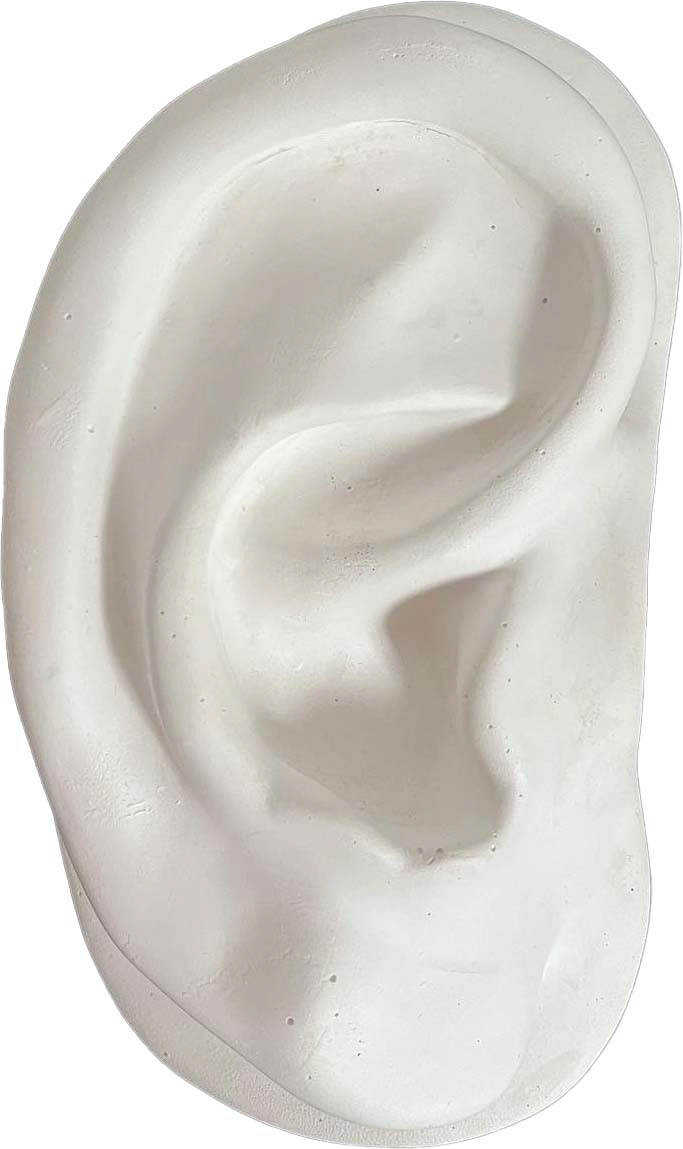 Plaster Ear Wall Sculpture~P77666020