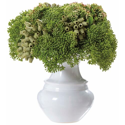 10" Sedum Arrangement in Ceramic Vase, Green