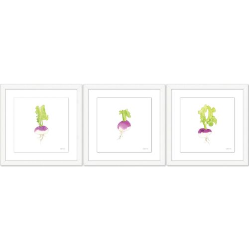 Sara Fitz, Turnip Set