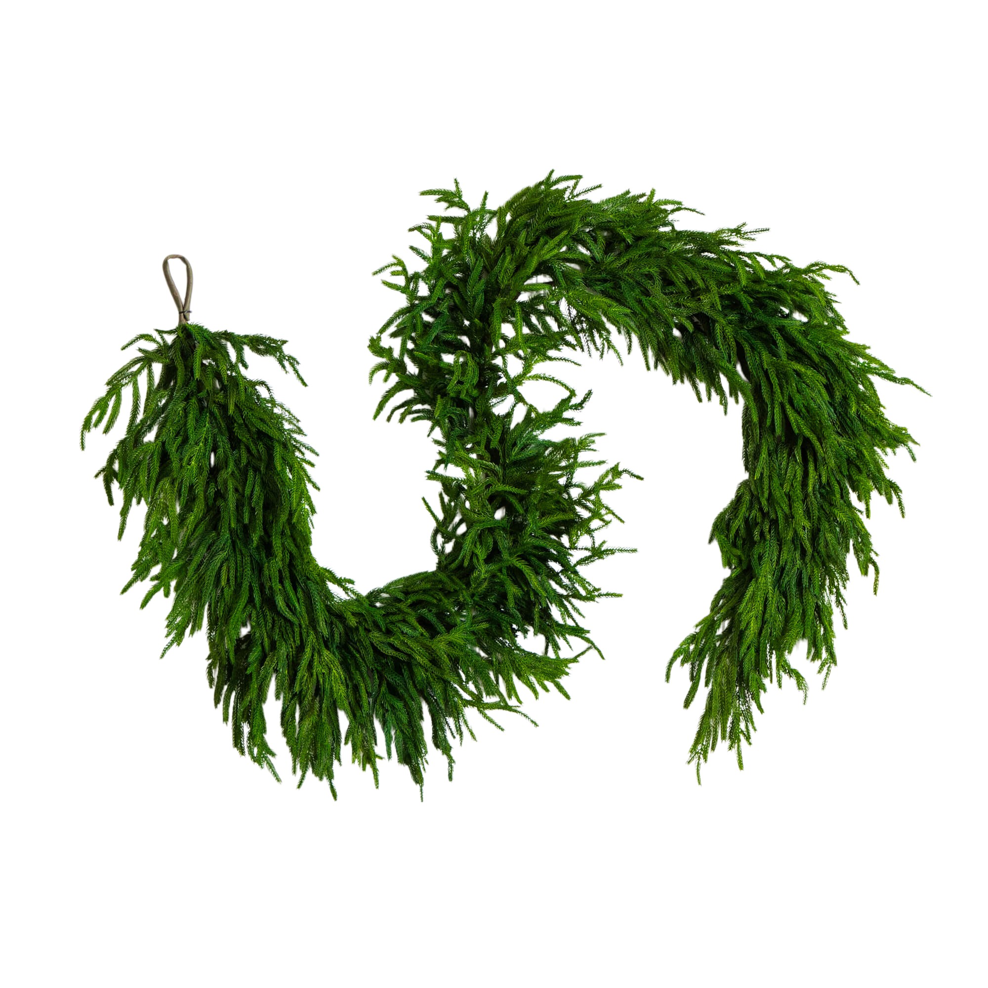 Real Touch Norfolk Island Pine Garland with Natural Look Real Touch Norfolk Island Pine Garland with Natural Look