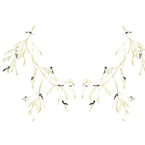 Mary H. Case Med. Bird Branches Wallpaper, White~P77605182