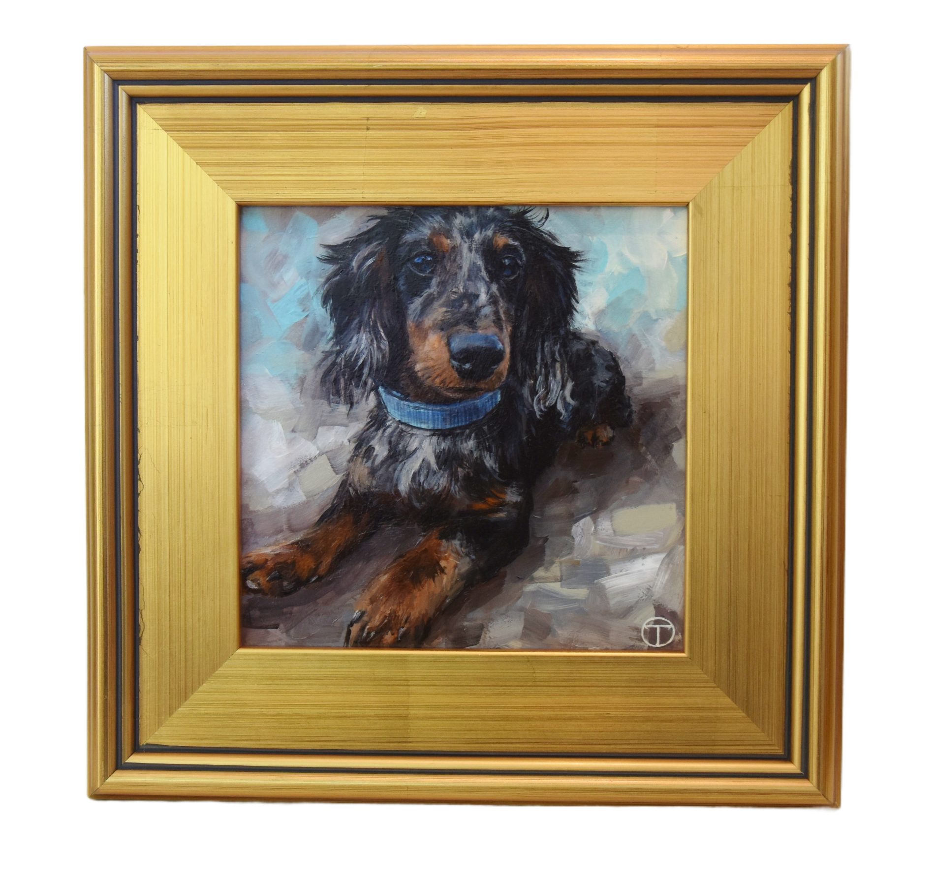 Dachshund Dapple Dog Portrait Painting~P77690572