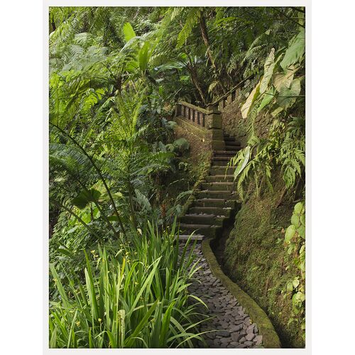 Stone Path Photo, 26" x 34"