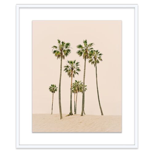 Christine Flynn, Venice Palms Photograph