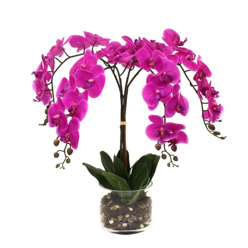 26" Fuchsia Orchid w/ Cylindrical Vase, Faux~P77469581