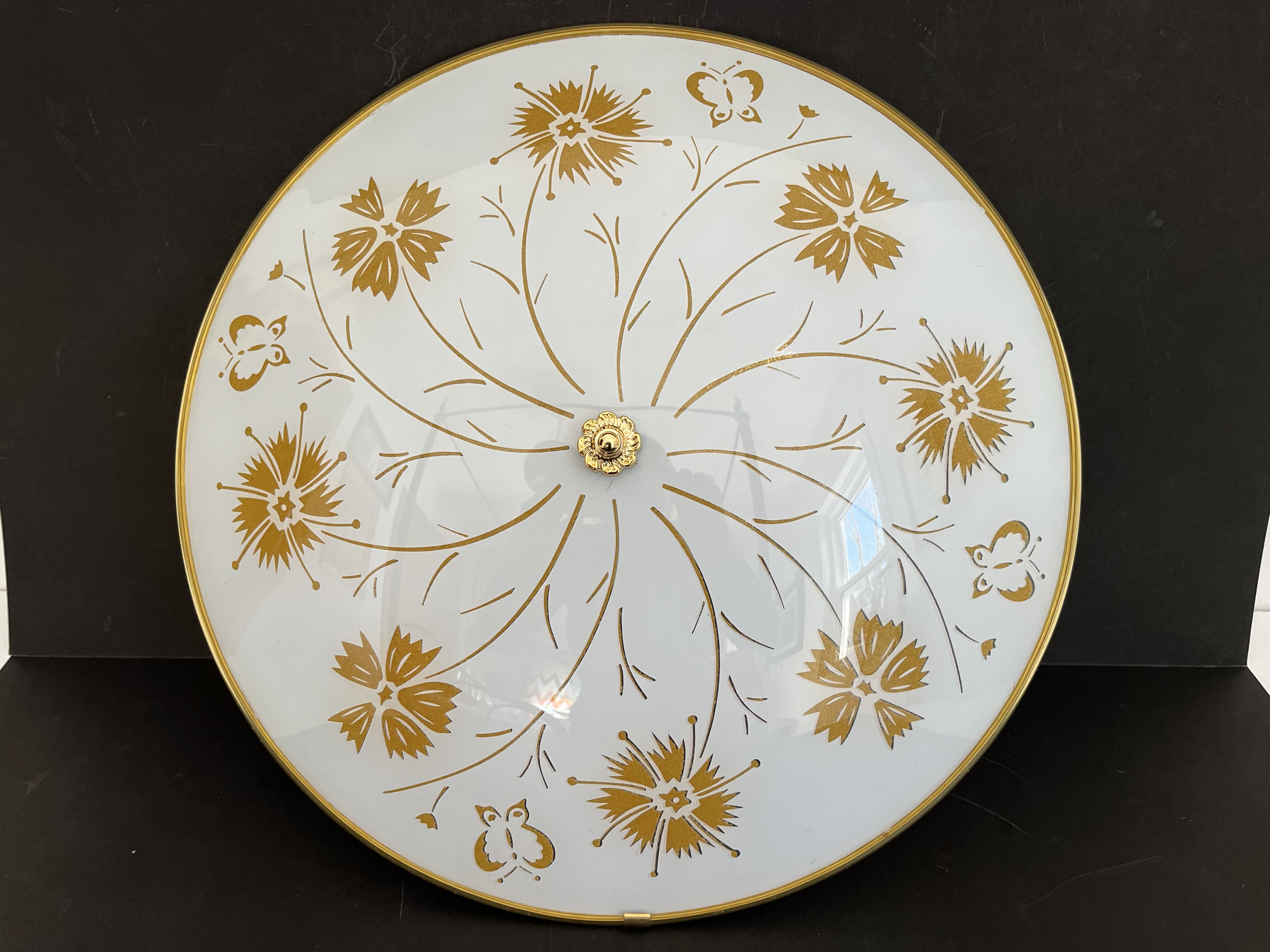 Butterfly Garden Ceiling Light~P77728477