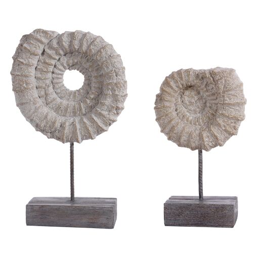 S/2 Betty Ammonite Shell, Black/White~P77647355