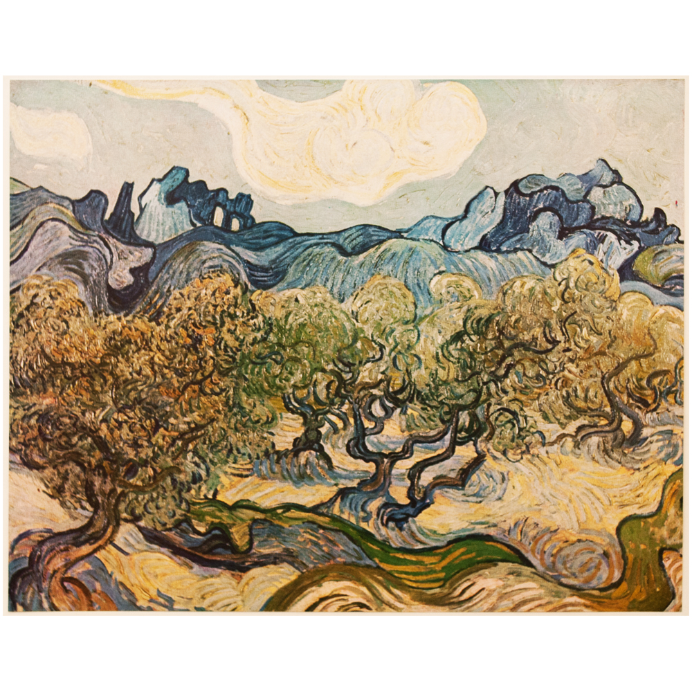 Van Gogh, Landscape With Olive Trees~P77662232