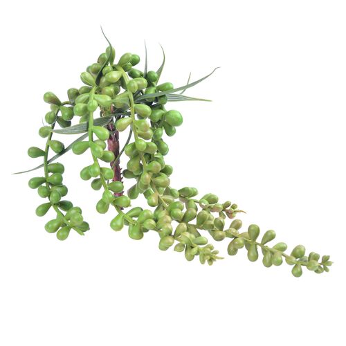 13" String-of-Pearls, Set of 12