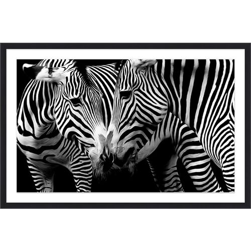 Zebra Snuggle~P77484157