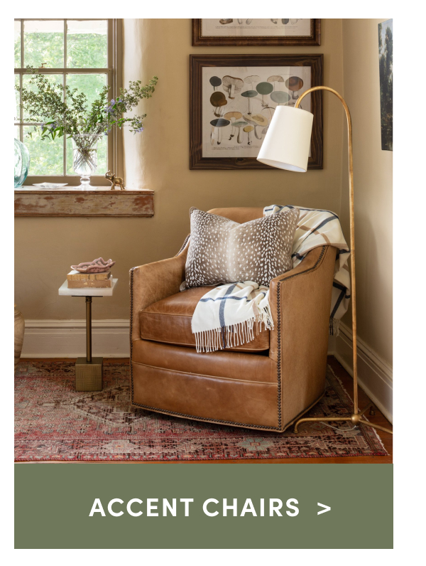 Shop Accent Chairs