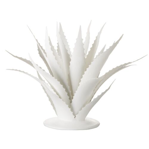 Agave Iron Plant Object, Gesso White