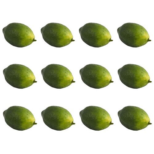 Faux Limes (Set of 12)