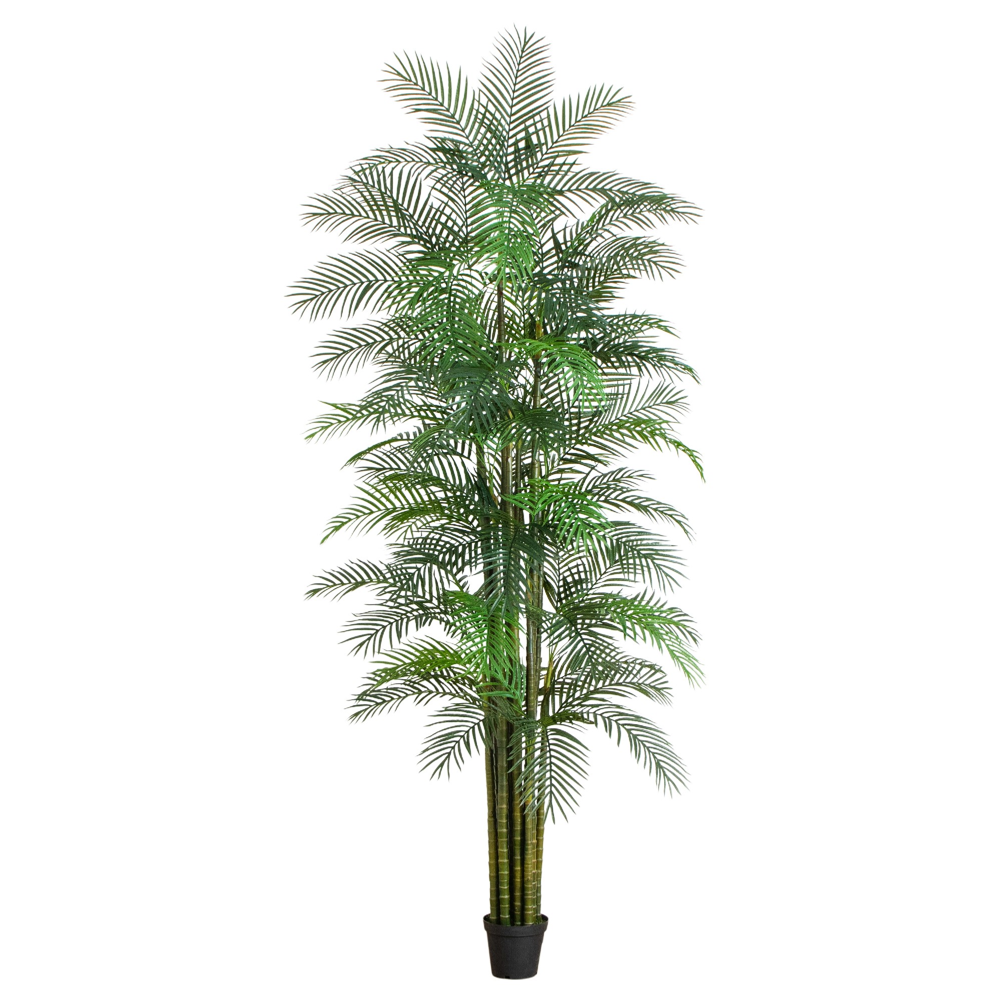 UV Resistant Areca Palm Tree (Indoor/Outdoor)