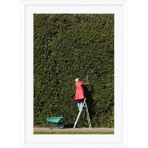 "Woman Cutting Large Hedge", Peter Cade, 2008 Photograph
