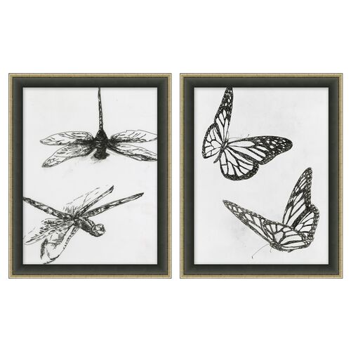 Lauren Liess, Insect Sketch Set~P77595539
