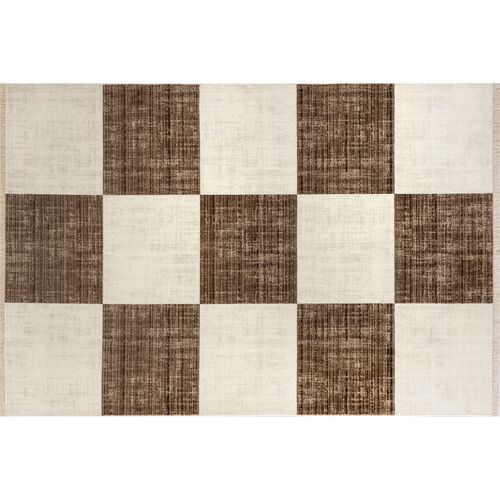 Aspen Checkerboard Fringed Area Rug