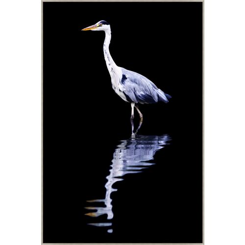Reflection of the Heron