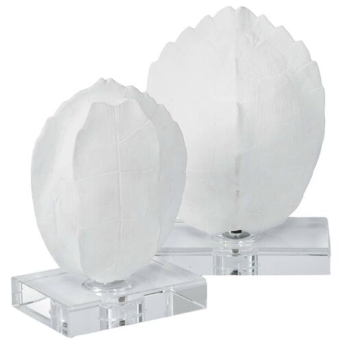 S/2 Turtle Shells On Crystal