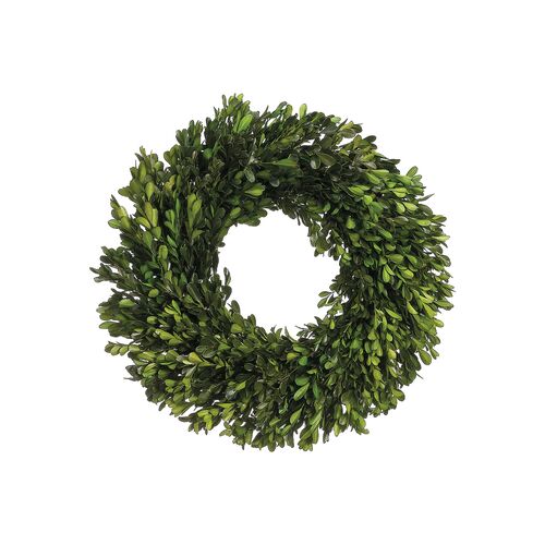 17" Boxwood Wreaths, Preserved~P76336125