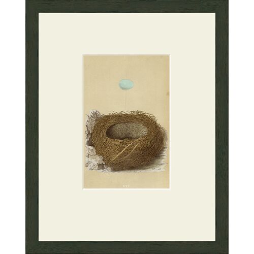 Blue Egg Art Print, 15" x 12"