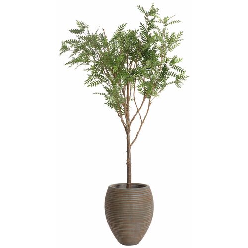 96" Locust Tree in Fiber Clay Pot, Green 96" Locust Tree in Fiber Clay Pot, Green