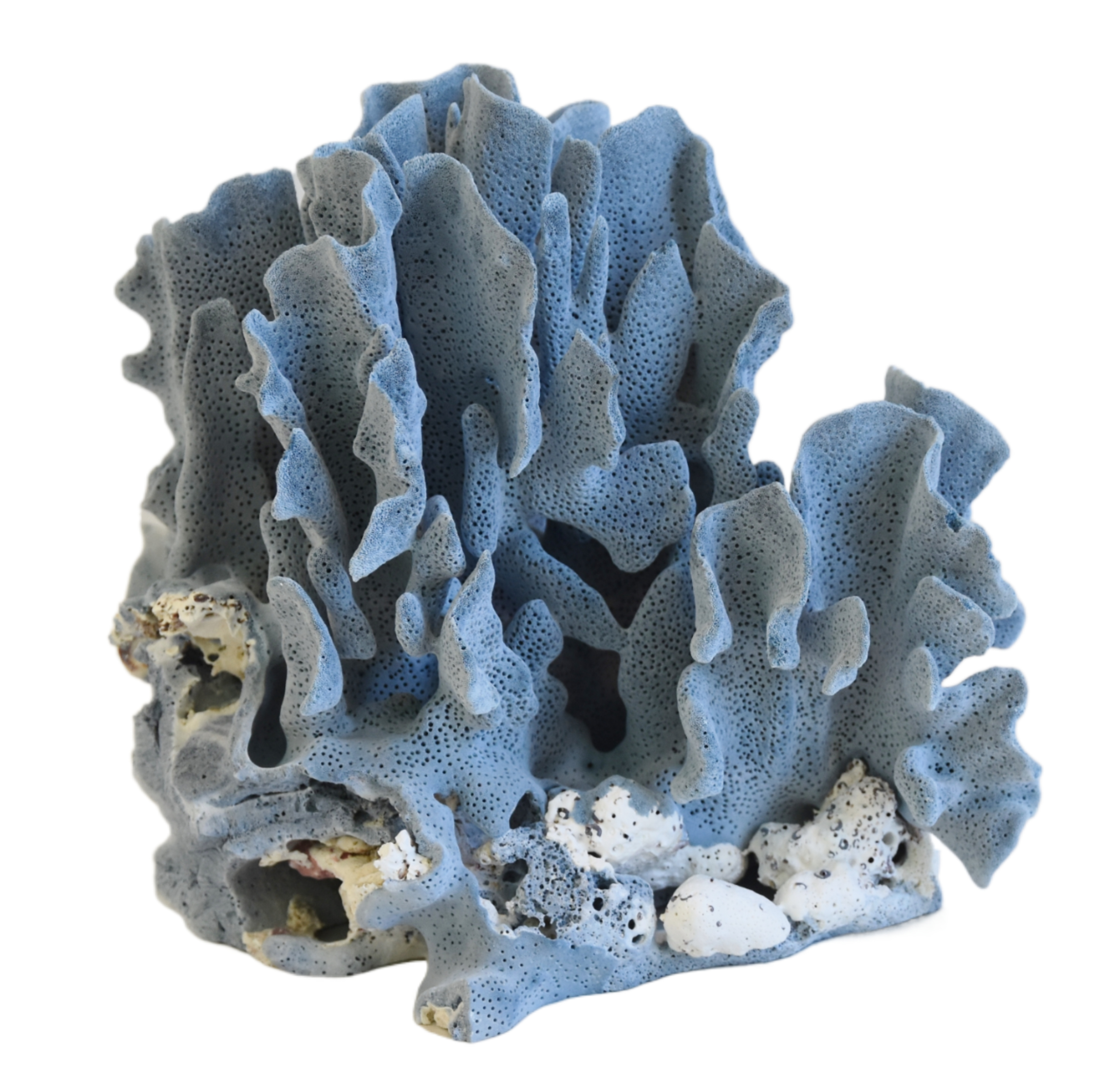Coastal Nautical Blue Coral Specimen~P77668459