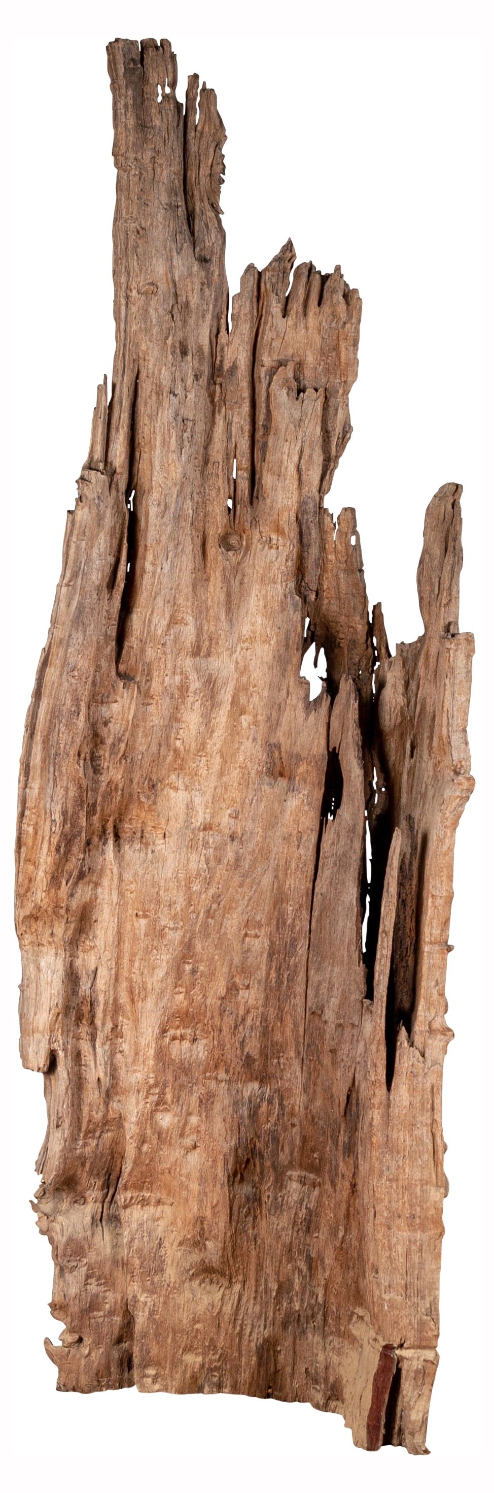 Ancient Driftwood Chiang Mai Carving~P77555068